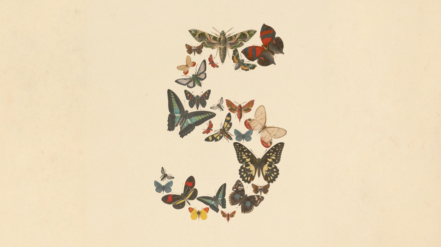 Le chiffre cinq composé de papillons, l'illustration officielle d'Anthropic pour le lancement de la famille Claude 5 (Fable 5 et Mythos 5).