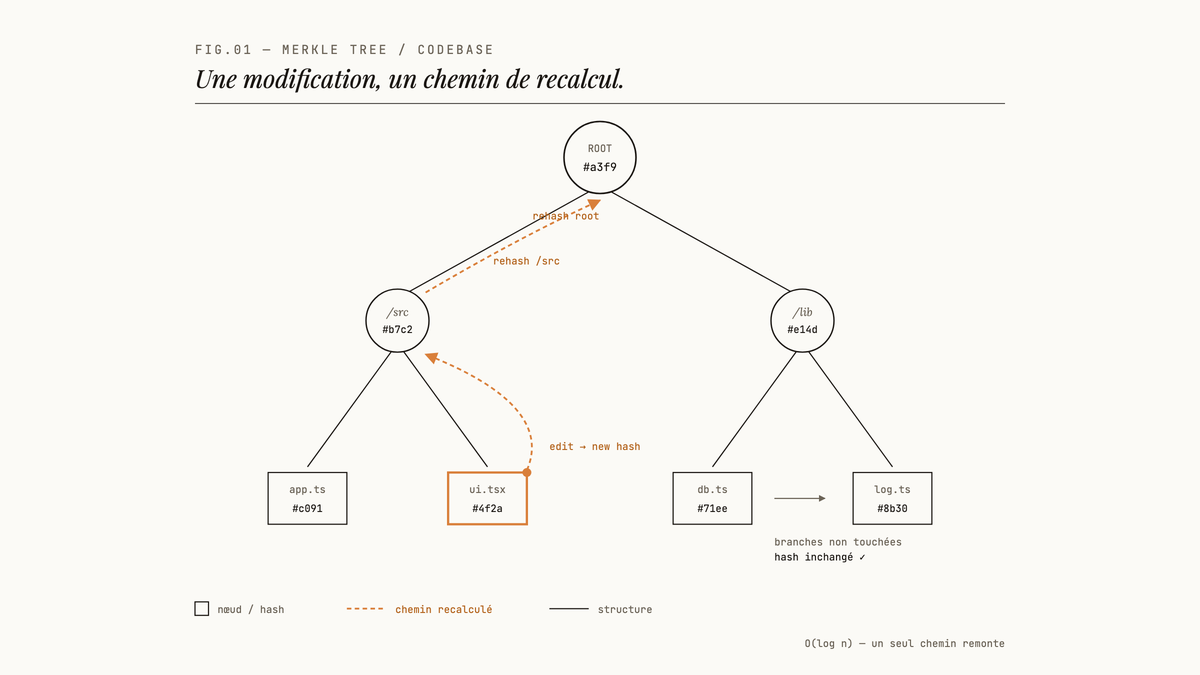 Diagramme d'un arbre de Merkle représentant une codebase : la racine se ramifie vers les répertoires /src et /lib, puis vers les fichiers feuilles, chacun étiqueté d'un hash ; une flèche ambrée montre qu'une modification dans ui.tsx propage un recalcul uniquement le long du chemin remontant jusqu'à la racine.