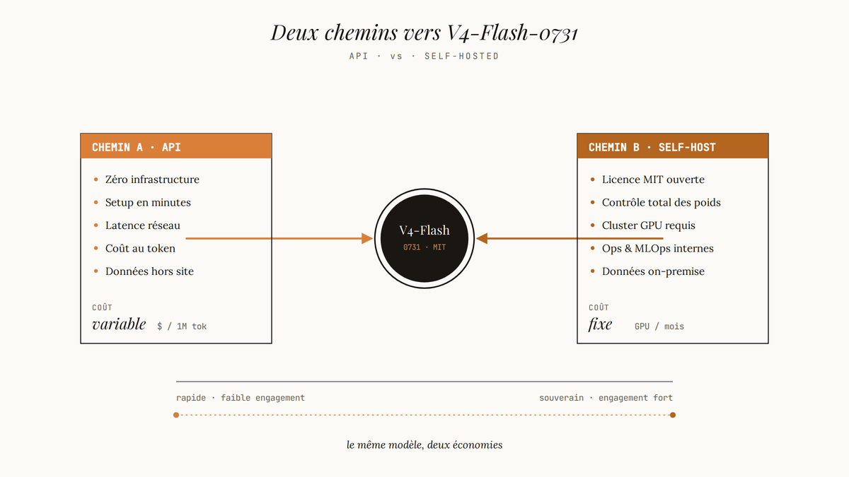 Schéma comparatif montrant les deux chemins d'accès à DeepSeek V4-Flash-0731 : API à gauche (aucune infra, coût variable) et auto-hébergement MIT à droite (infrastructure GPU, contrôle total, coût fixe).