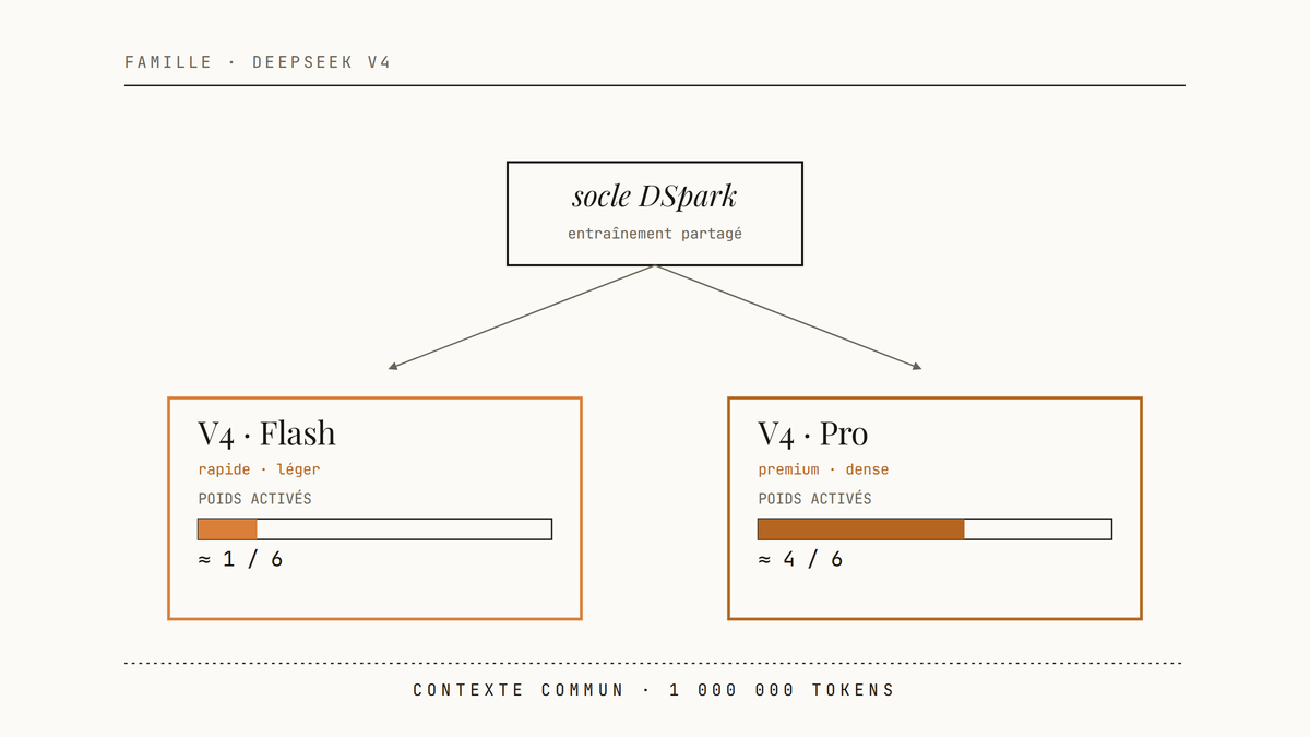 Diagramme éditorial montrant la famille DeepSeek V4 : un socle d'entraînement DSpark se divise en deux branches, Flash (environ 1/6 des poids activés) et Pro (environ 4/6), reliées par un contexte commun d'un million de tokens.