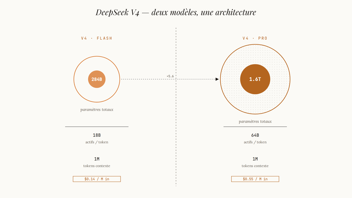 Diagramme comparatif de DeepSeek V4 Flash (284B paramètres, 18B actifs) et V4 Pro (1,6T paramètres, 64B actifs), tous deux avec fenêtre 1M tokens.