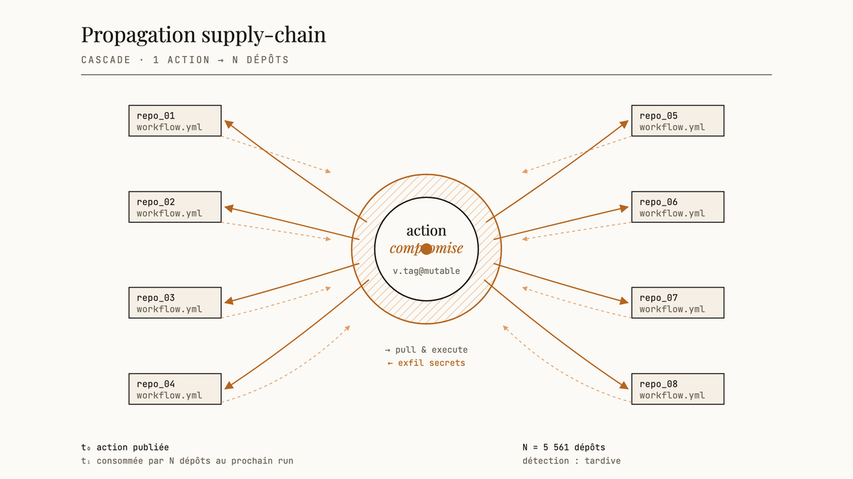 Diagramme montrant une action GitHub compromise au centre qui se propage vers huit dépôts consommateurs par des flèches, illustrant la cascade supply-chain et l'exfiltration des secrets.