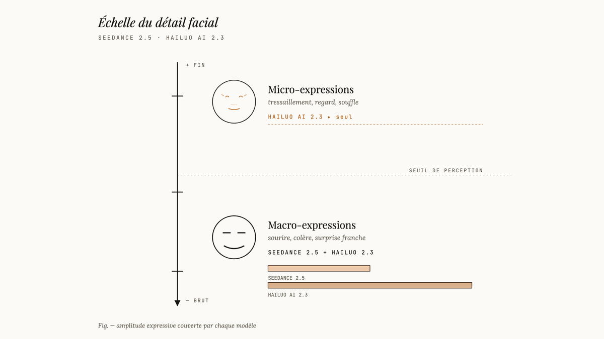 Schéma vertical comparant les niveaux de détail facial : macro-expressions couvertes par Seedance 2.5 et Hailuo AI 2.3, micro-expressions accessibles à Hailuo AI seul.