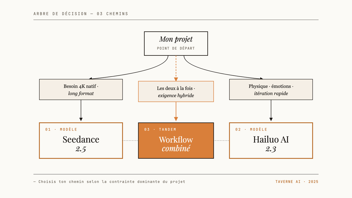 Arbre de décision à trois branches partant de « Mon projet » vers Seedance 2.5, Hailuo AI 2.3 ou un workflow combiné selon les besoins.